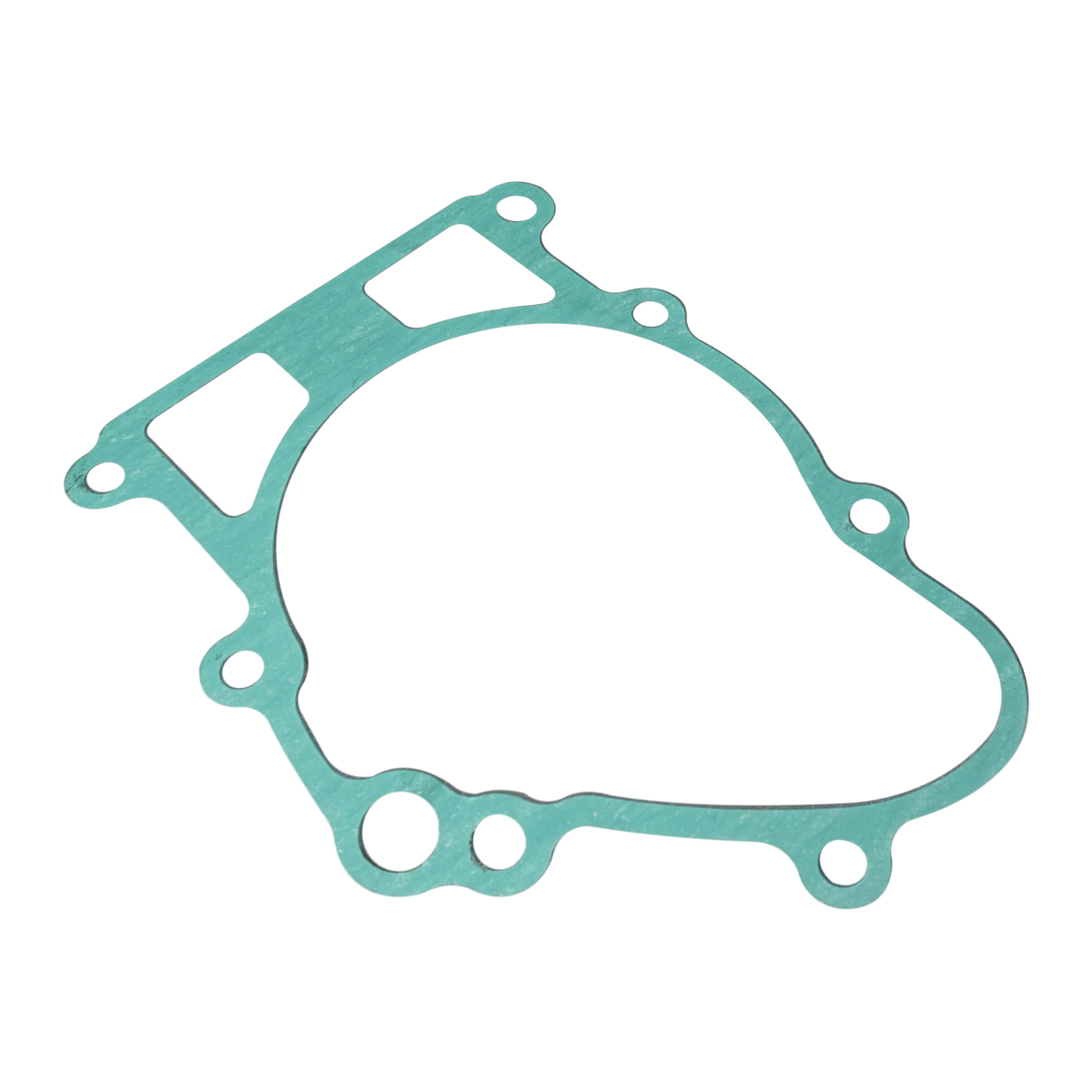 11009-1510 Motorcycle gear Cas - Motorcycle Gear Kawasaki reseña y precio