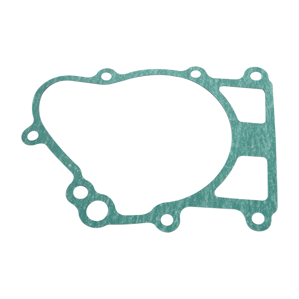 11009-1510 Motorcycle gear Cas - Motorcycle Gear Kawasaki reseña y precio